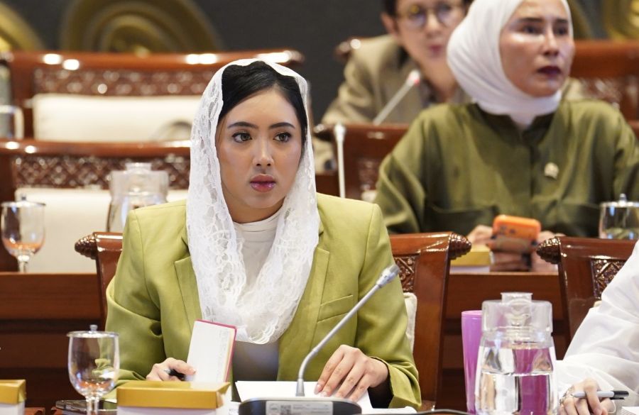 Legislator NasDem Desak Segera Bebaskan WNI yang Ditangkap Tentara Israel